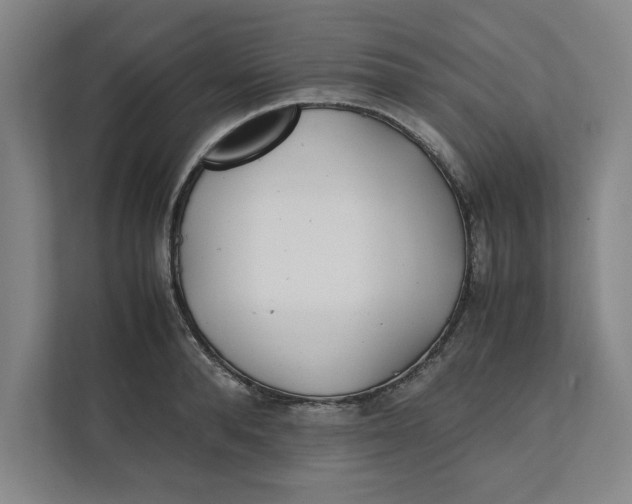 X0000112410896200909041354