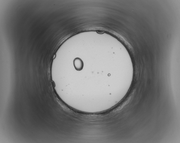 X0000112410897200909041354