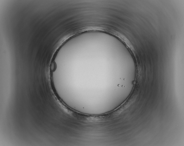 X0000112410898200909041354