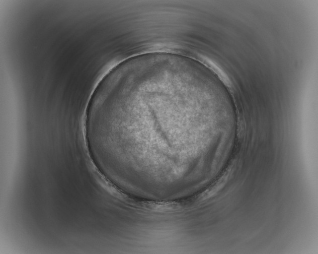 X0000112410899200909041354