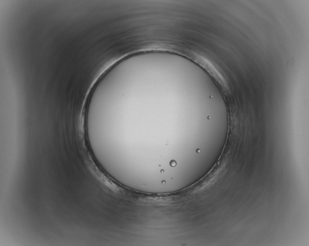 X0000112410900200909041354