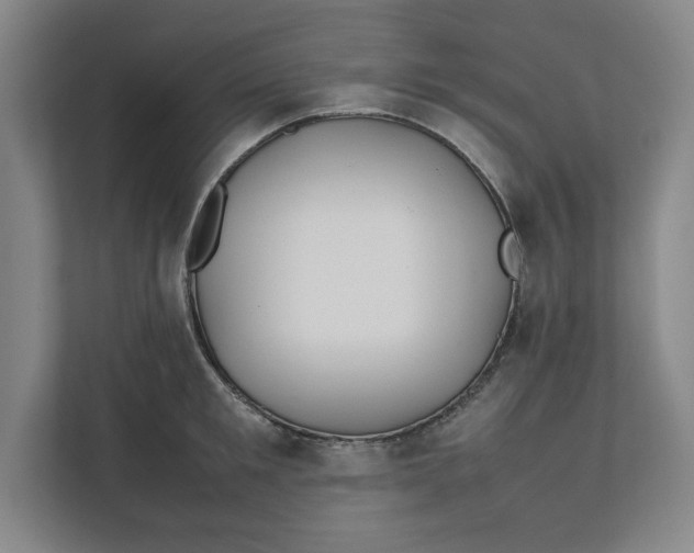 X0000112410901200909041354