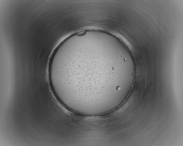 X0000112410902200909041354