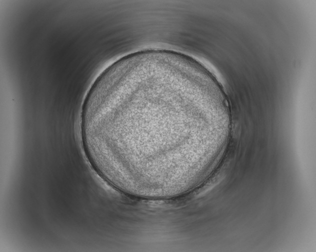 X0000112410903200909041354