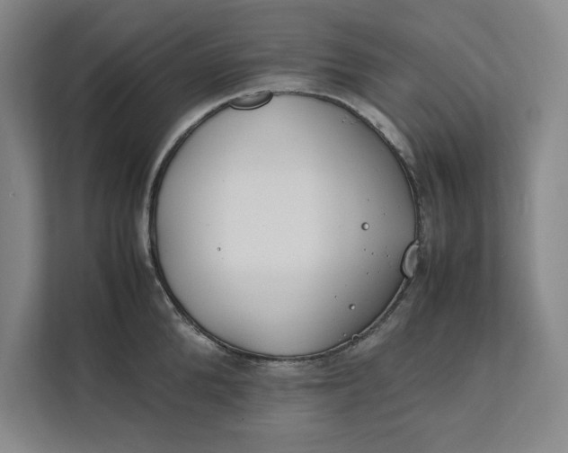 X0000112410904200909041354