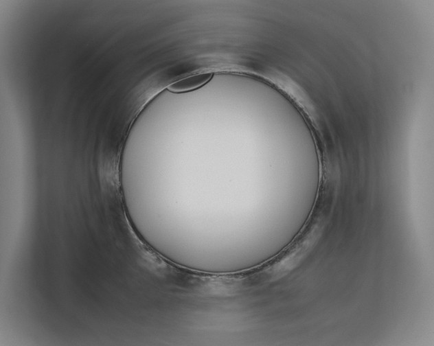 X0000112410905200909041354