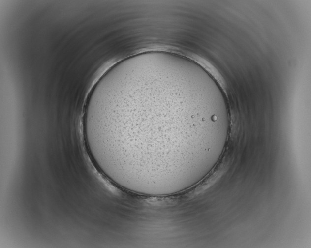 X0000112410906200909041354