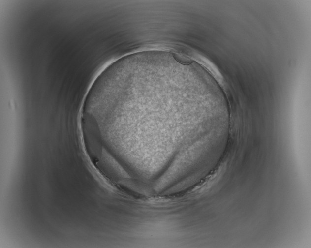 X0000112410907200909041354