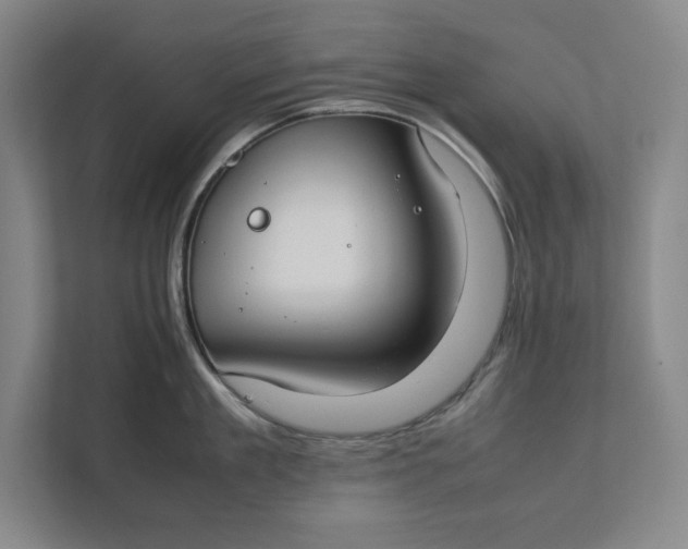 X0000112410909200909041354