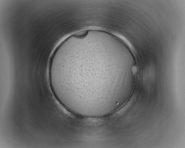 X0000112410910200909041354