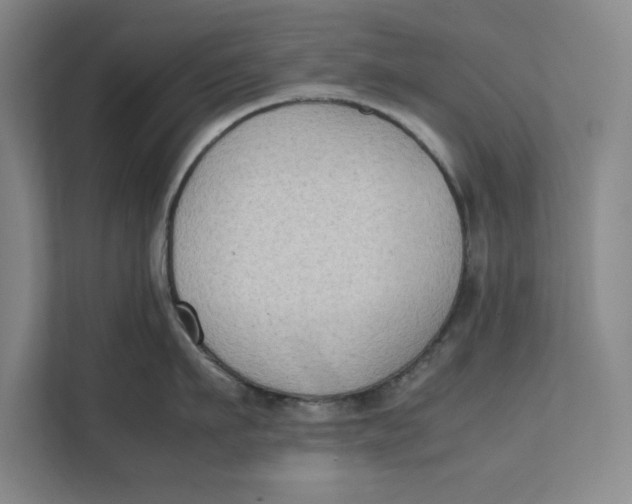 X0000112410911200909041354