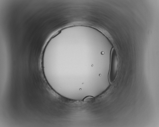 X0000112410912200909041354