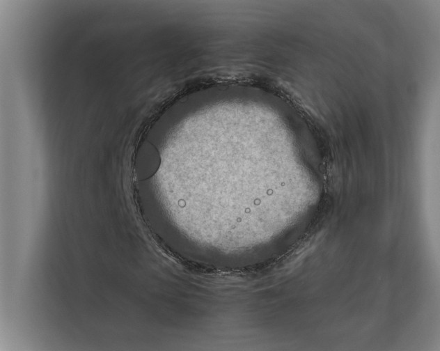 X0000112410913200909041353