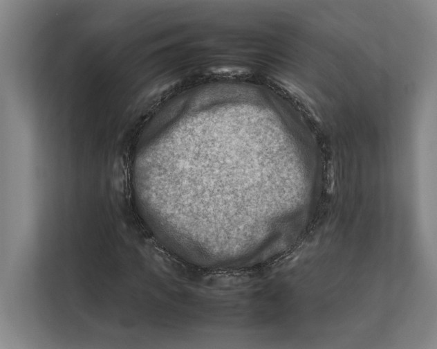 X0000112410917200909041353