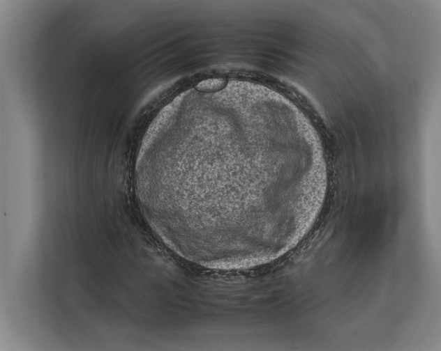 X0000112410919200909041353