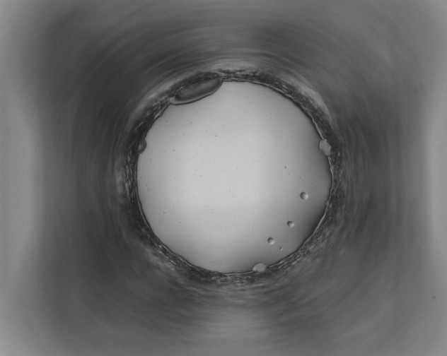 X0000112410920200909041353