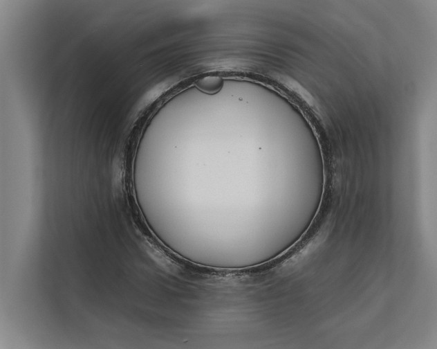 X0000112410922200909041353