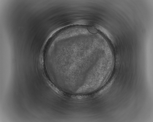 X0000112410923200909041353