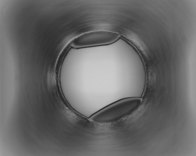 X0000112410924200909041353