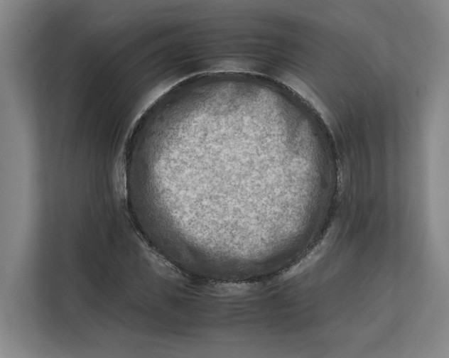 X0000112410925200909041353