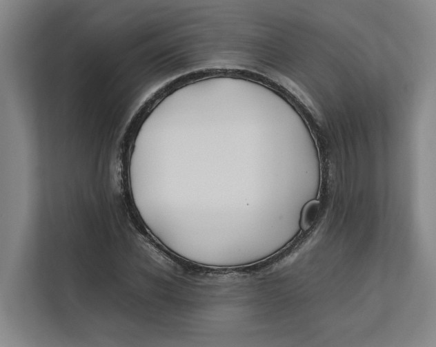 X0000112410926200909041353