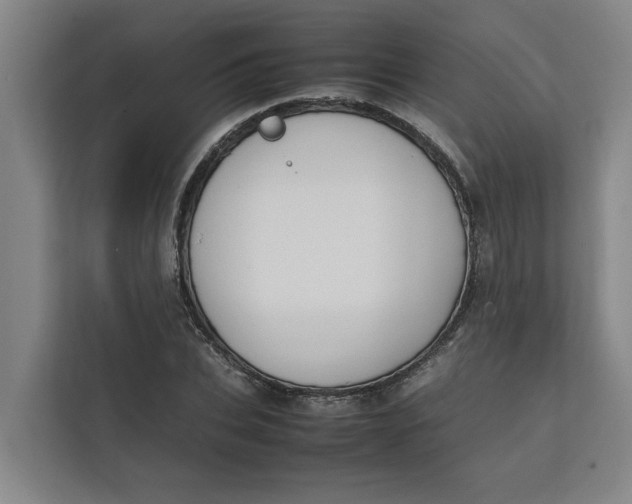 X0000112410927200909041353