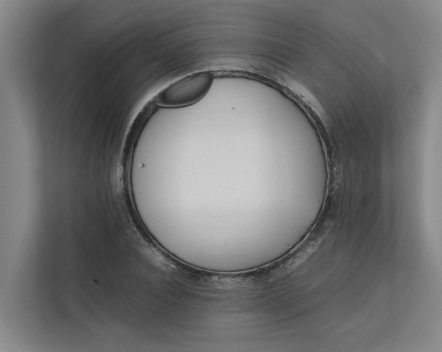 X0000112410928200909041353