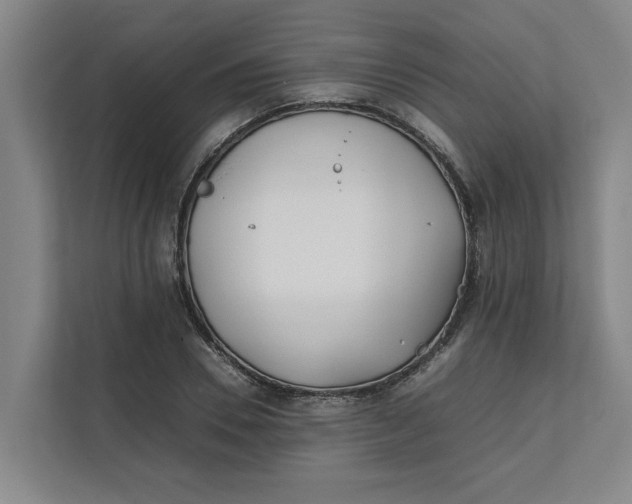 X0000112410930200909041353