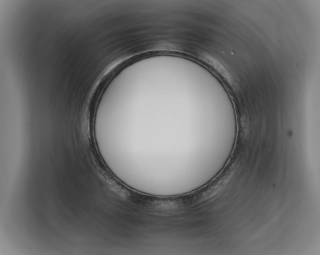 X0000112410931200909041353