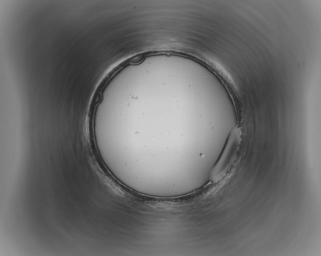 X0000112410932200909041353