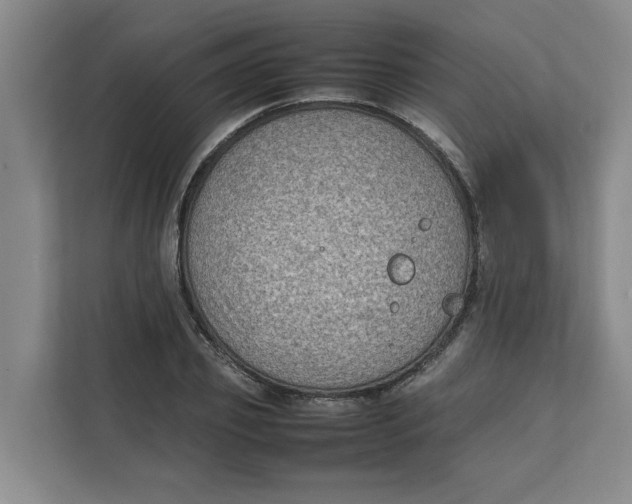 X0000112410933200909041353