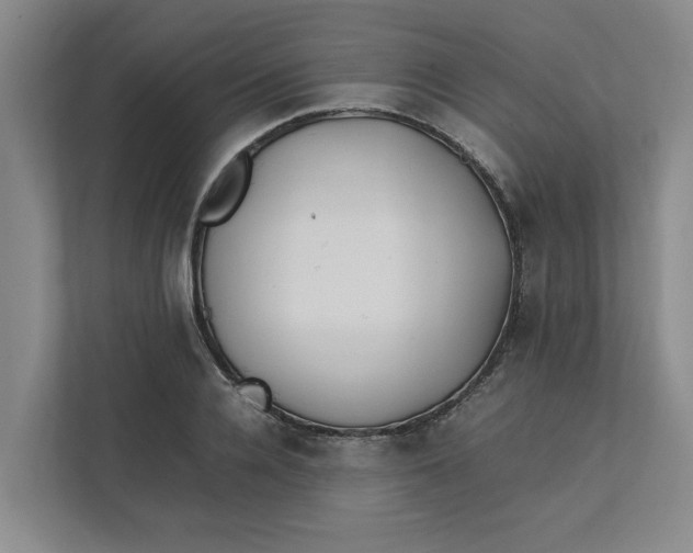 X0000112410936200909041353