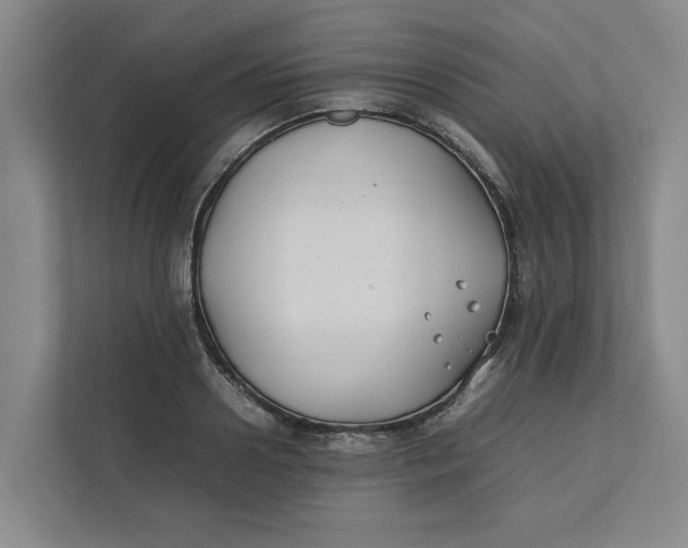 X0000112410938200909041353