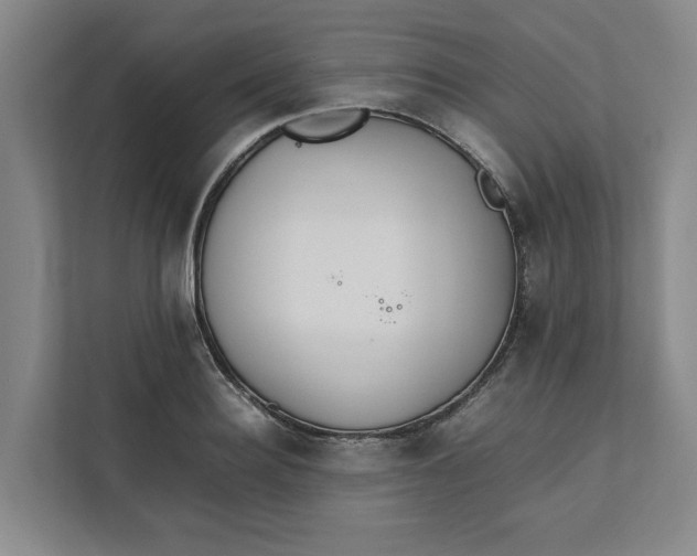 X0000112410940200909041353