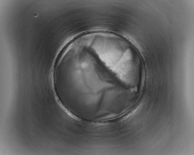 X0000112410941200909041353