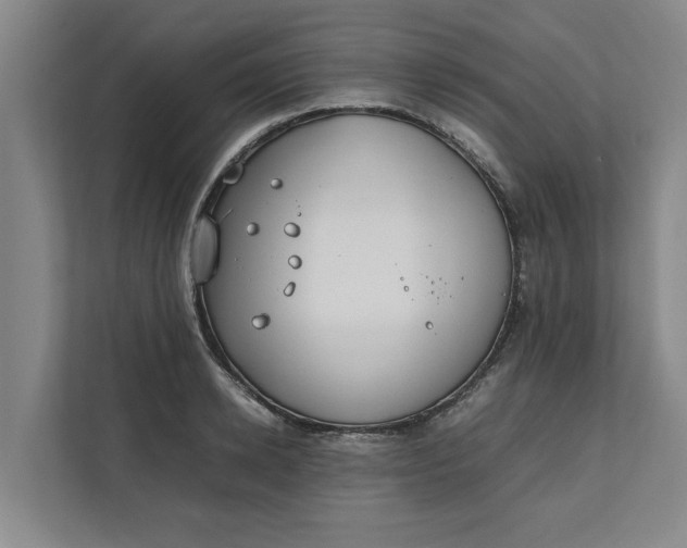 X0000112410942200909041353