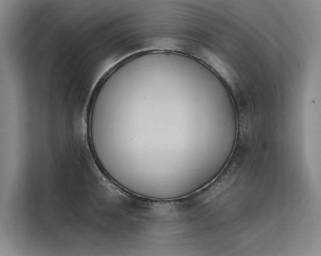 X0000112410944200909041353