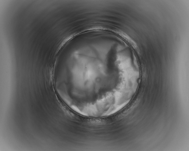 X0000112410945200909041353