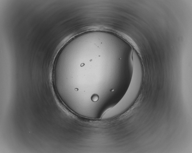 X0000112410946200909041353