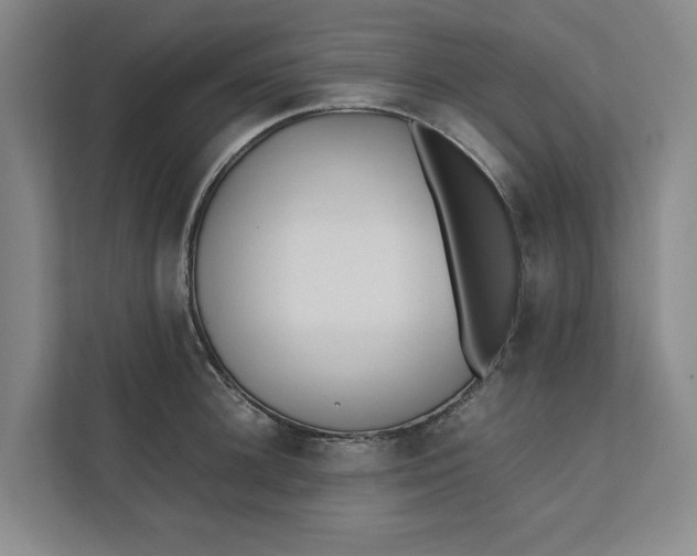 X0000112410948200909041353