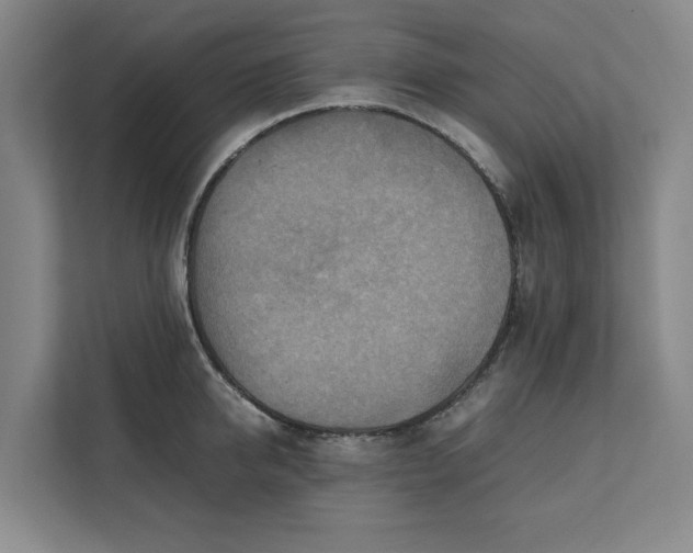 X0000112410950200909041353