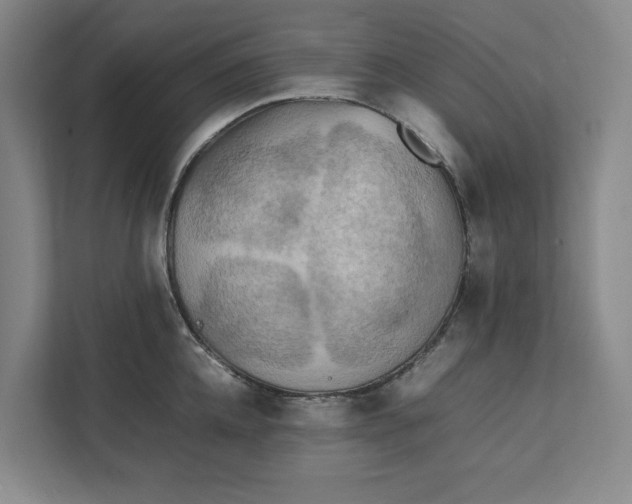 X0000112410952200909041353