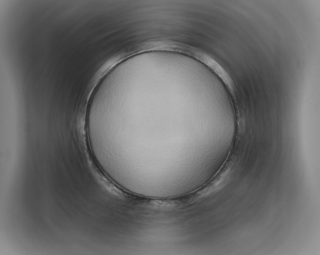 X0000112410954200909041353