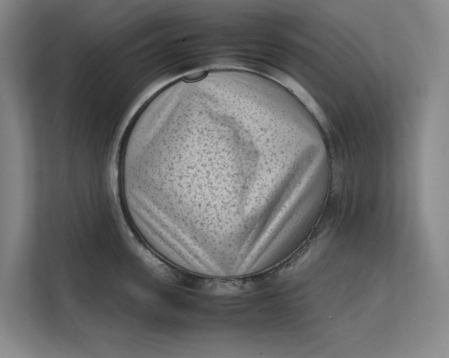 X0000112410955200909041353