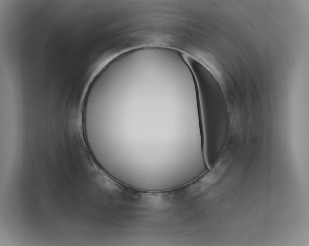 X0000112410956200909041353