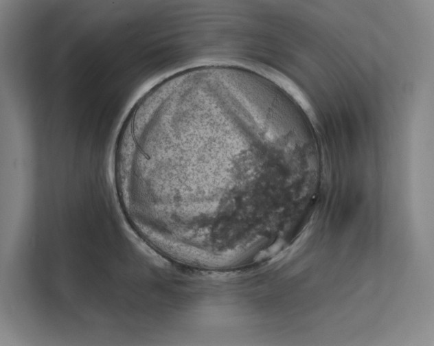 X0000112410958200909041354