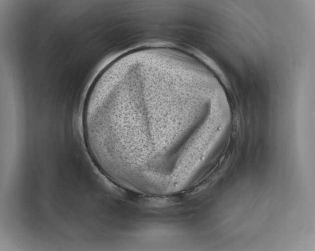 X0000112410959200909041354