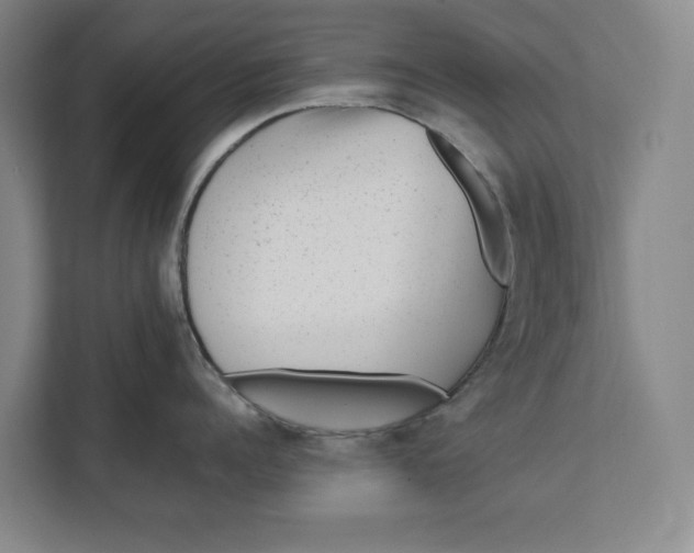 X0000112410960200909041354