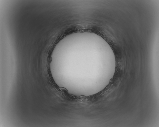 X0000112410961200909041353