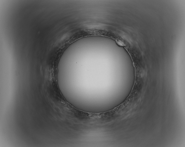 X0000112410965200909041353